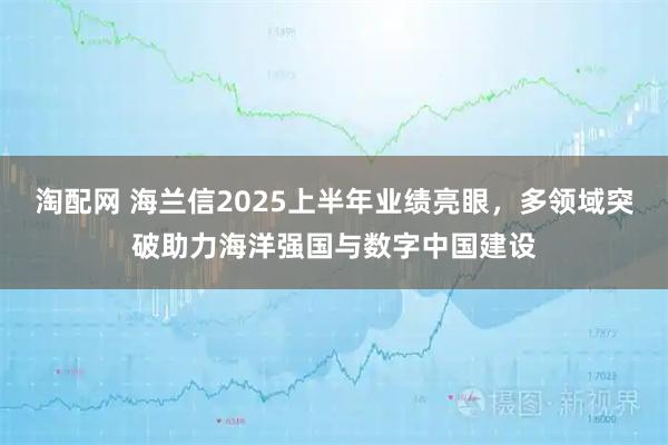 淘配网 海兰信2025上半年业绩亮眼，多领域突破助力海洋强国与数字中国建设